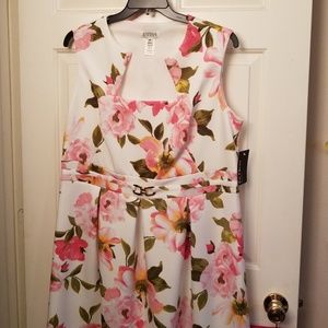 NWT Beautiful women's plus cream floral dress!
